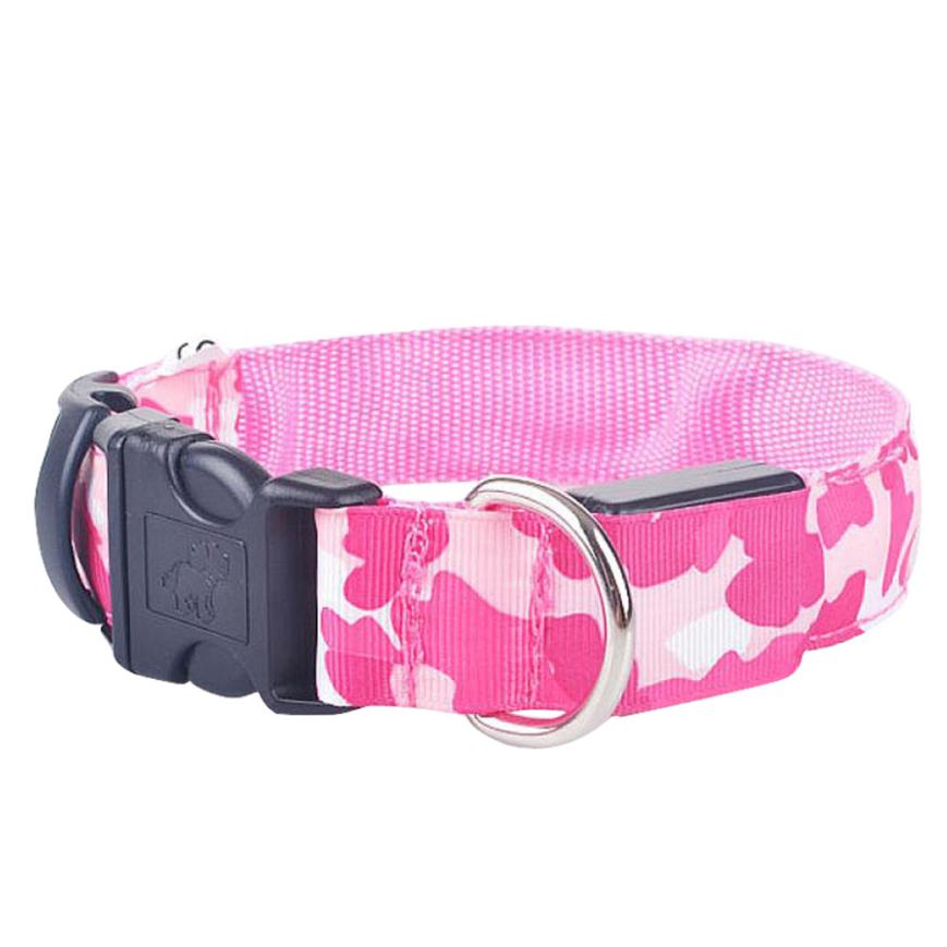 Pawnest LED Dog Collar | Glow Safety Collar for Night Walks