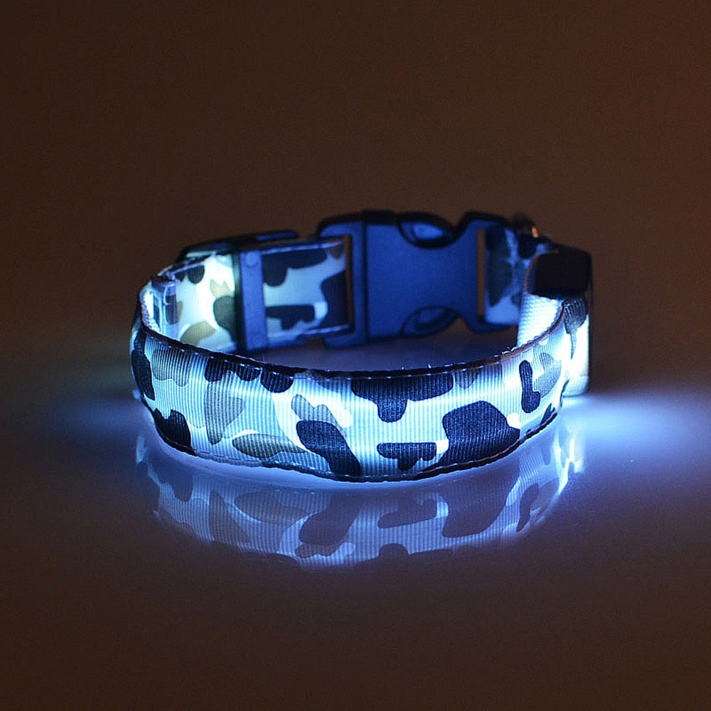 Pawnest LED Dog Collar | Glow Safety Collar for Night Walks