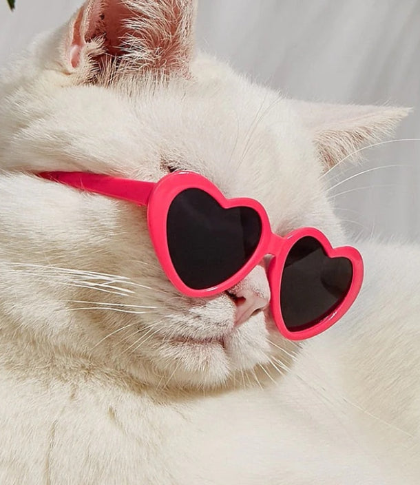 Pawnest Stylish Heart-Shape Dog Sunglasses | UV Protection Pet Goggles